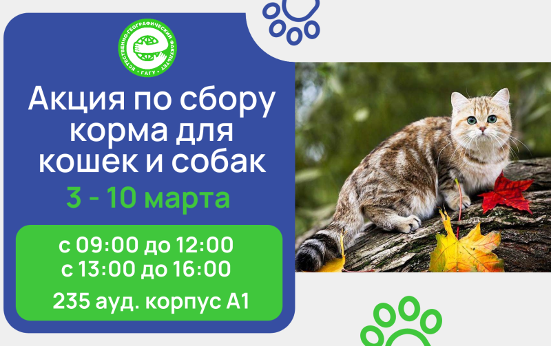 Встречаем весну с пушистыми питомцами