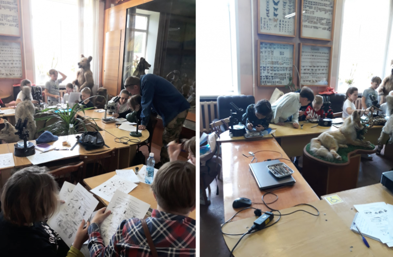 Полевые исследования школьников в рамках летней естественно-научной школы ГАГУ