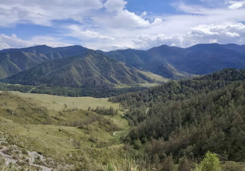 Грозы как фактор риска: связь между молниями и лесными пожарами на Алтае